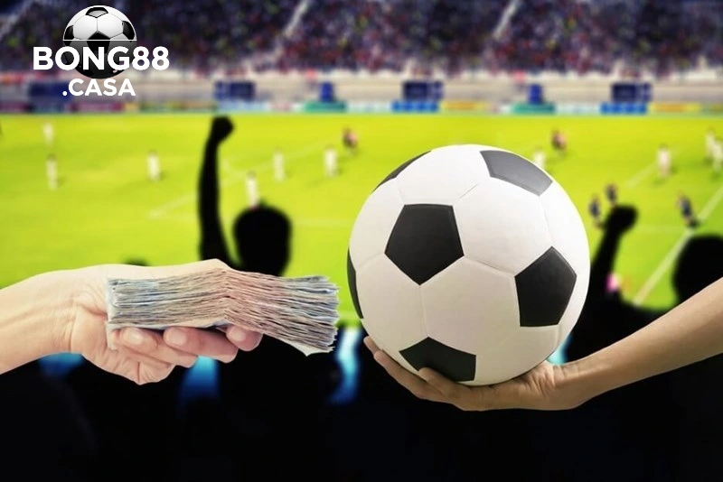 Vì sao web cá cược bóng đá ngày càng thu hút người chơi?
