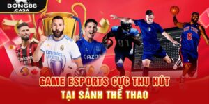 Kèo cược Bong88 - Thế Giới Cá Cược Thể Thao Điện Tử 