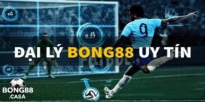 Đại Lý Bong88 - Đỉnh Cao cá Cược Với Hành Trình Chinh Phục